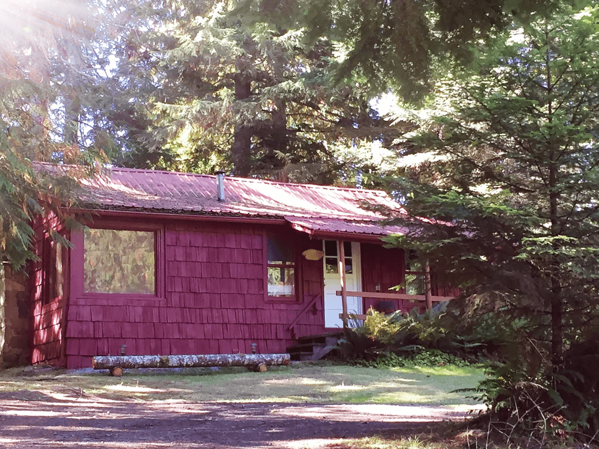 Family Cabin cabin near Mount Rainier